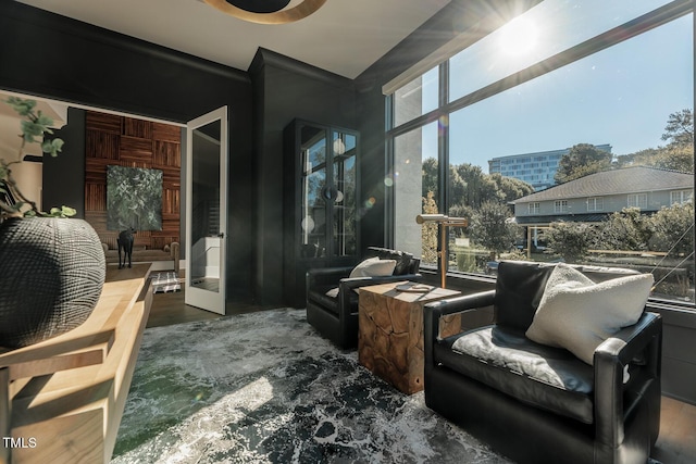 living area with french doors, dark hardwood / wood-style floors, and plenty of natural light