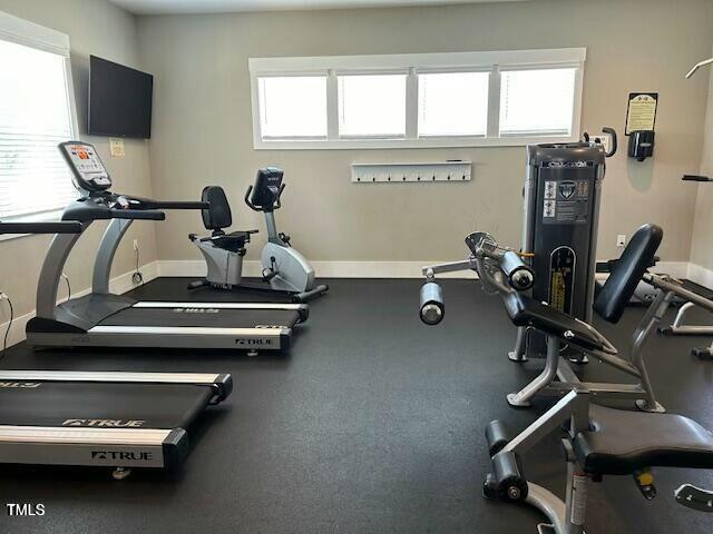 exercise room with a wealth of natural light