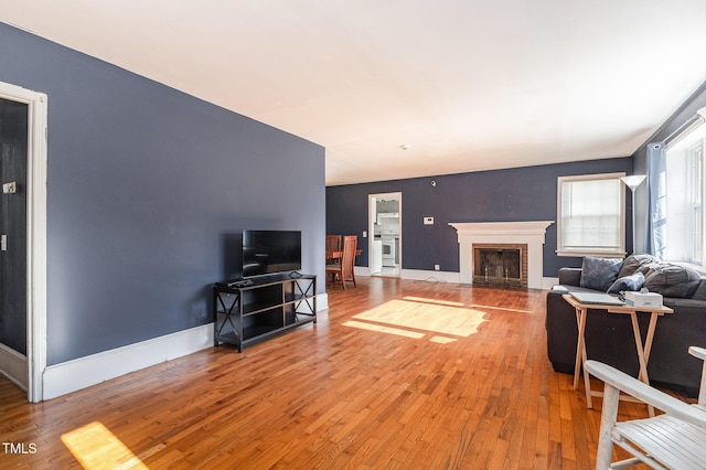 living room with wood-type flooring