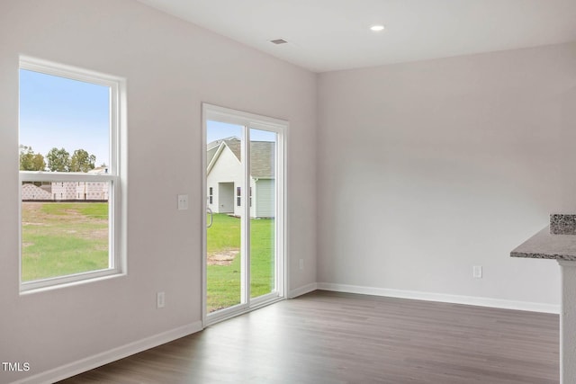 empty room featuring a healthy amount of sunlight and wood-type flooring