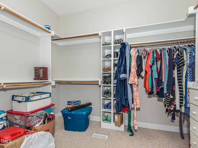 view of walk in closet