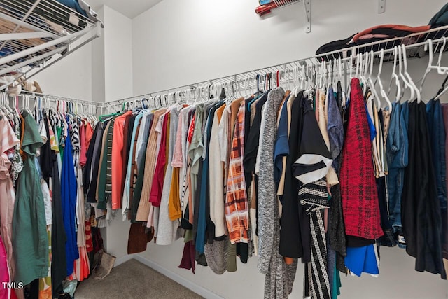 spacious closet featuring carpet floors