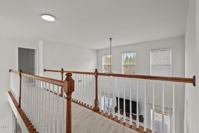 hallway with carpet flooring