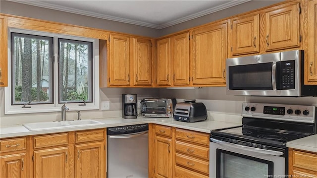 kitchen with crown molding, sink, and stainless steel appliances