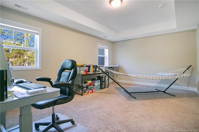 home office featuring carpet floors and a tray ceiling