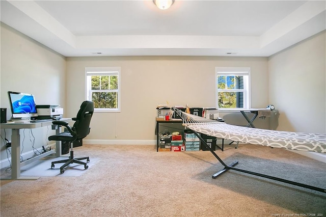 home office with a raised ceiling, a wealth of natural light, and carpet floors