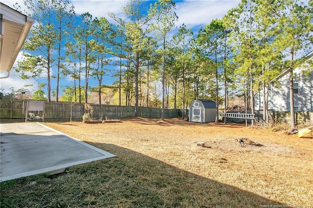 view of yard with a patio and a shed