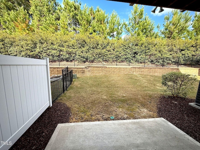 view of yard featuring a patio