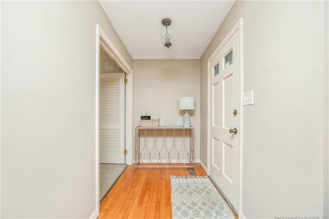 interior space featuring wood-type flooring