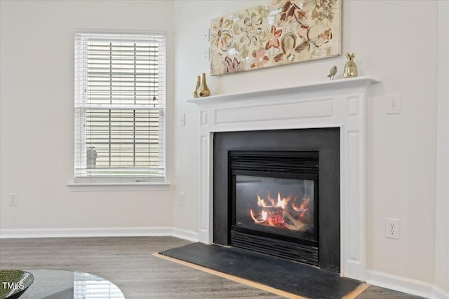 room details featuring baseboards, wood finished floors, and a glass covered fireplace