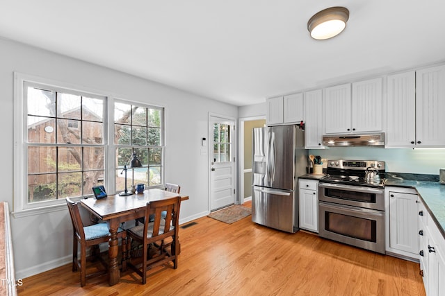 kitchen featuring stainless steel appliances, under cabinet range hood, and light wood finished floors