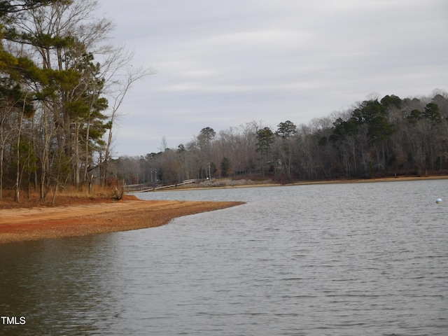 view of water feature