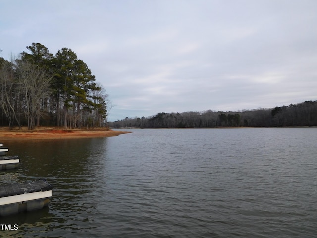 view of water feature