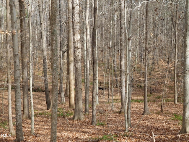 view of landscape