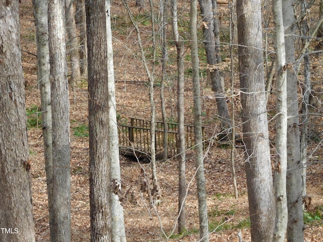 view of local wilderness