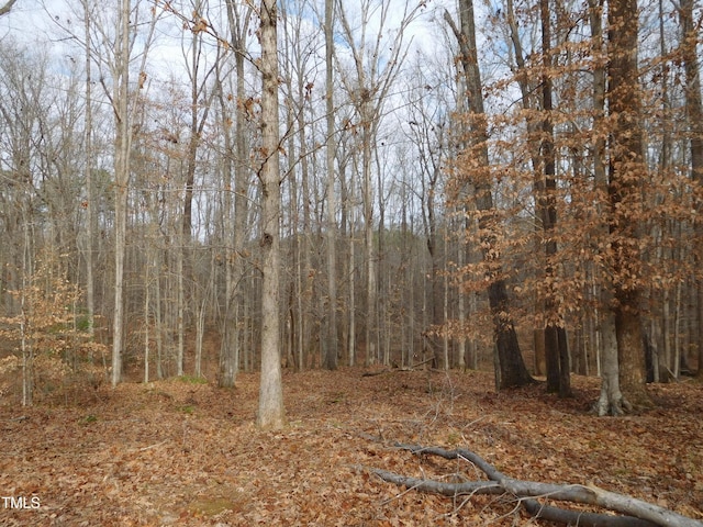 513 Port Dr, Henderson, NC 27537 - photo 29