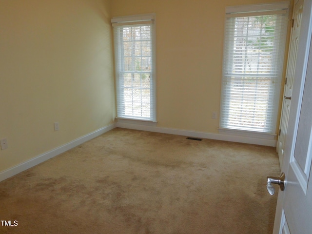 carpeted empty room featuring a wealth of natural light