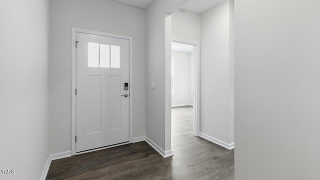 entryway with dark wood-type flooring