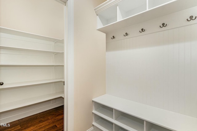 mudroom with dark wood-type flooring