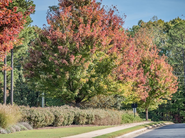 view of road with curbs and sidewalks