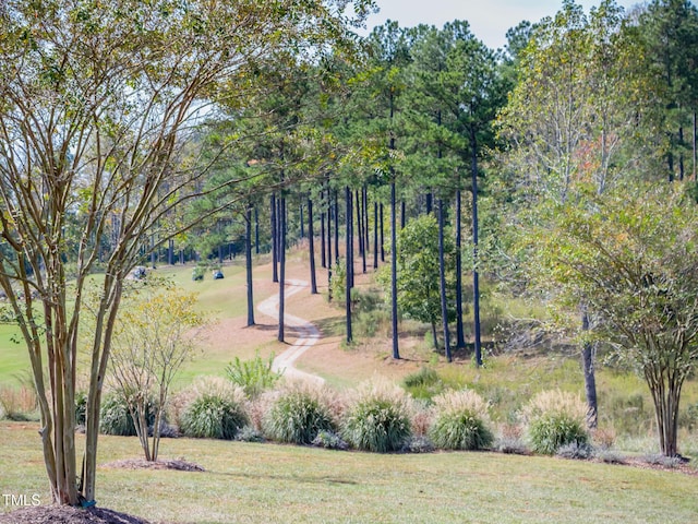 view of property's community featuring a yard