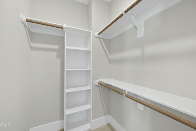 view of walk in closet