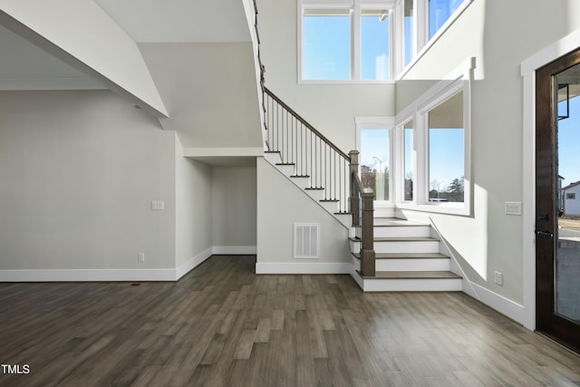 interior space featuring dark hardwood / wood-style flooring and a towering ceiling