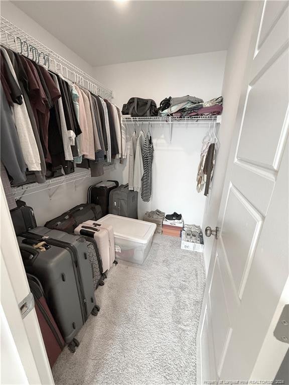 walk in closet featuring carpet