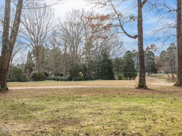 191 Pine Lake Dr, Siler City, NC 27344 - photo 9