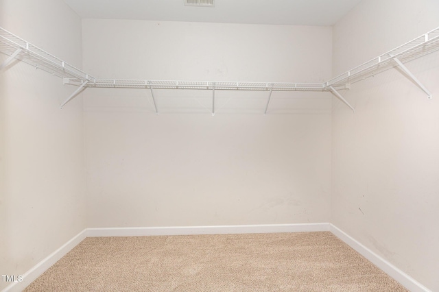 walk in closet featuring carpet