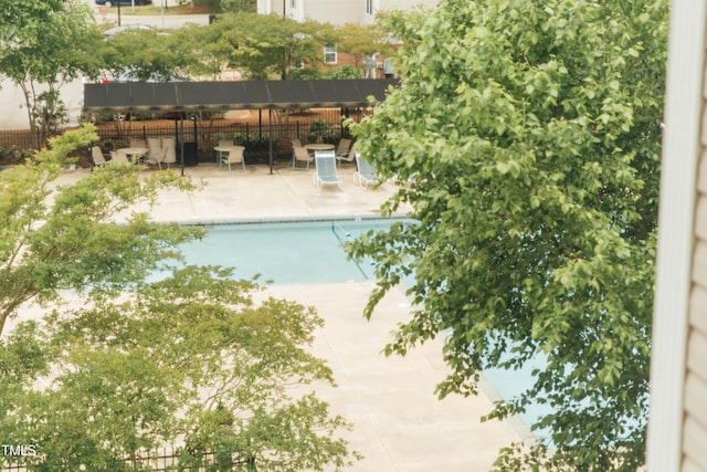 view of swimming pool with a patio