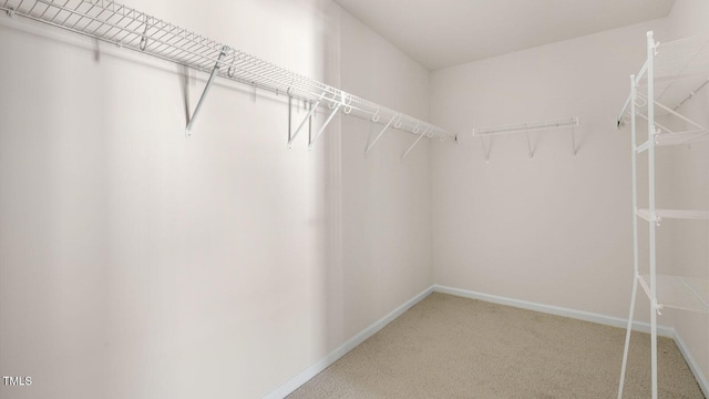 walk in closet featuring carpet