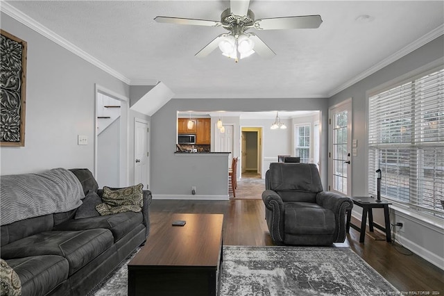 living room with ceiling fan with notable chandelier, dark hardwood / wood-style floors, and crown molding