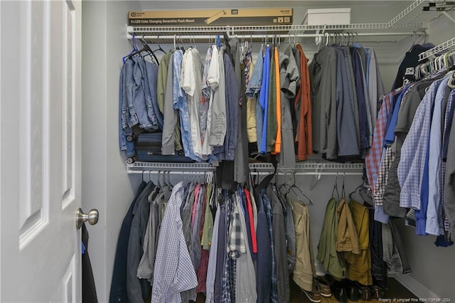 view of spacious closet