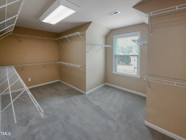 spacious closet featuring carpet flooring and vaulted ceiling