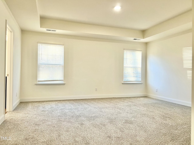 empty room featuring a raised ceiling and carpet floors