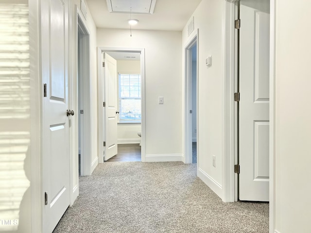 corridor featuring carpet