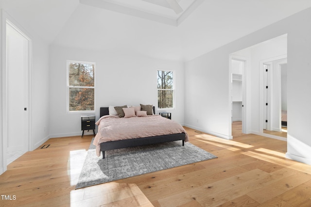 bedroom with a closet, high vaulted ceiling, light hardwood / wood-style flooring, and a spacious closet