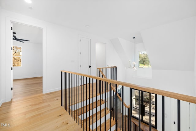 hallway featuring a notable chandelier, light hardwood / wood-style floors, and vaulted ceiling