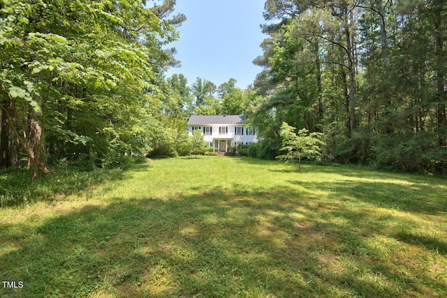view of yard with a view of trees