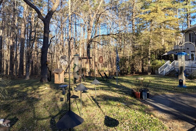 340 Andrews Store Rd, Pittsboro, NC 27312 - view of grassy yard with stairway
