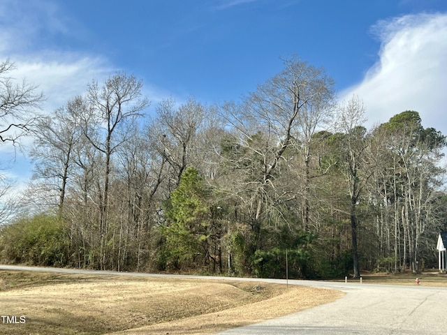 109 Mccoy Dr, Smithfield NC, 27577 land for sale