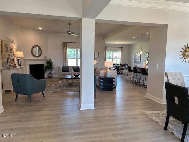 living room with light hardwood / wood-style floors, ceiling fan, and ornamental molding