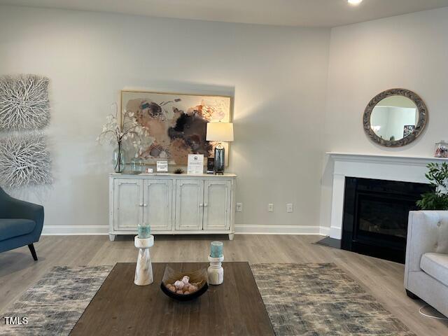 living room with light hardwood / wood-style floors