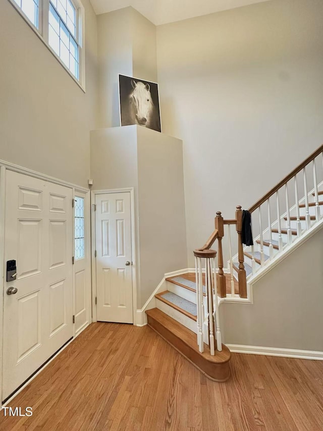 foyer featuring a high ceiling and light wood-type flooring