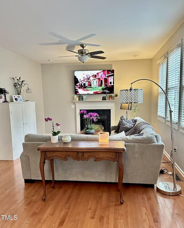 living room with ceiling fan and light hardwood / wood-style floors