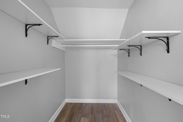 spacious closet featuring dark wood-type flooring