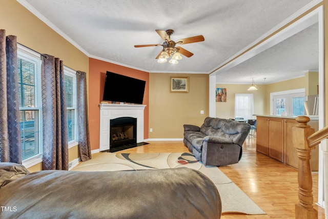 living room with ceiling fan, light hardwood / wood-style floors, a textured ceiling, and ornamental molding