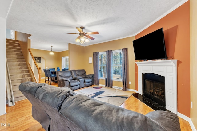 living room with hardwood / wood-style floors, ceiling fan, crown molding, and a textured ceiling