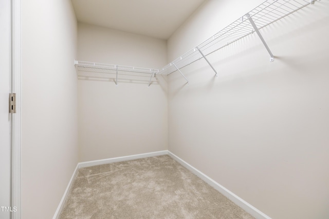 walk in closet with light colored carpet